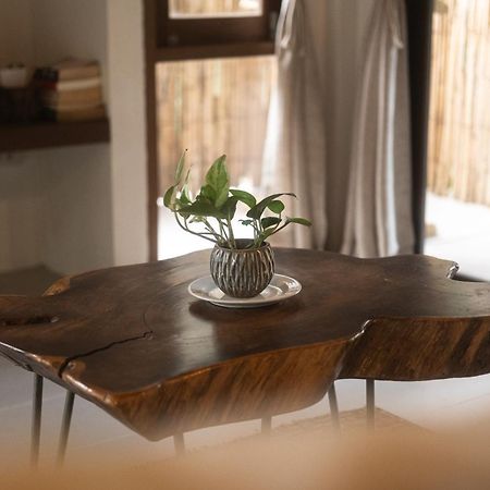 Big Tree Boutique Hotel Koh Tao Extérieur photo