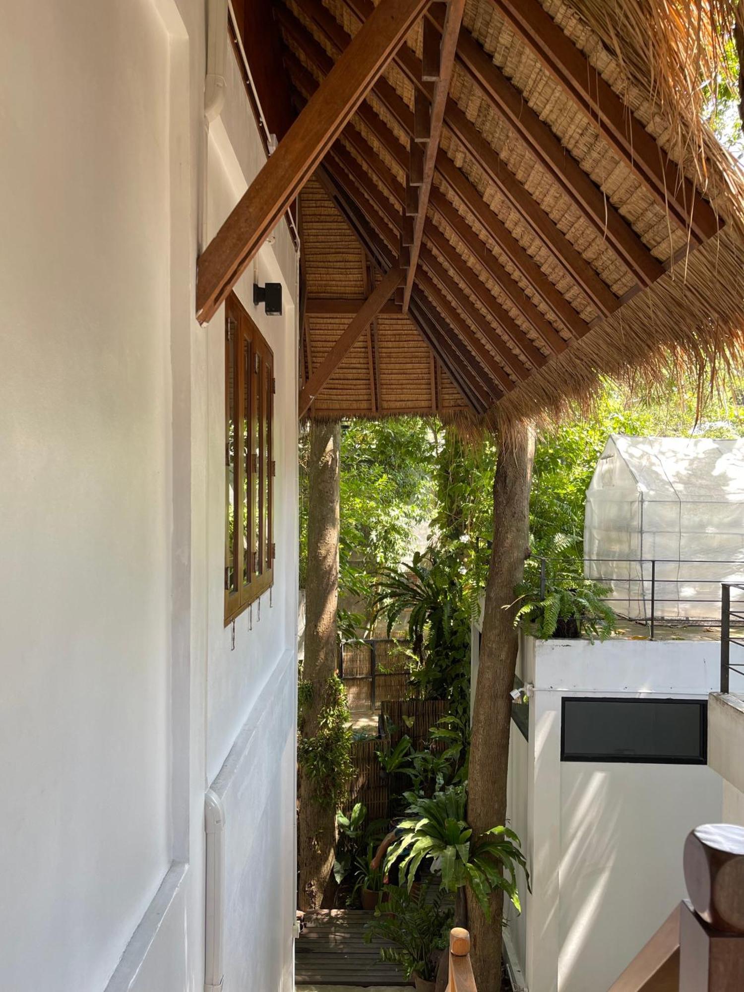 Big Tree Boutique Hotel Koh Tao Extérieur photo
