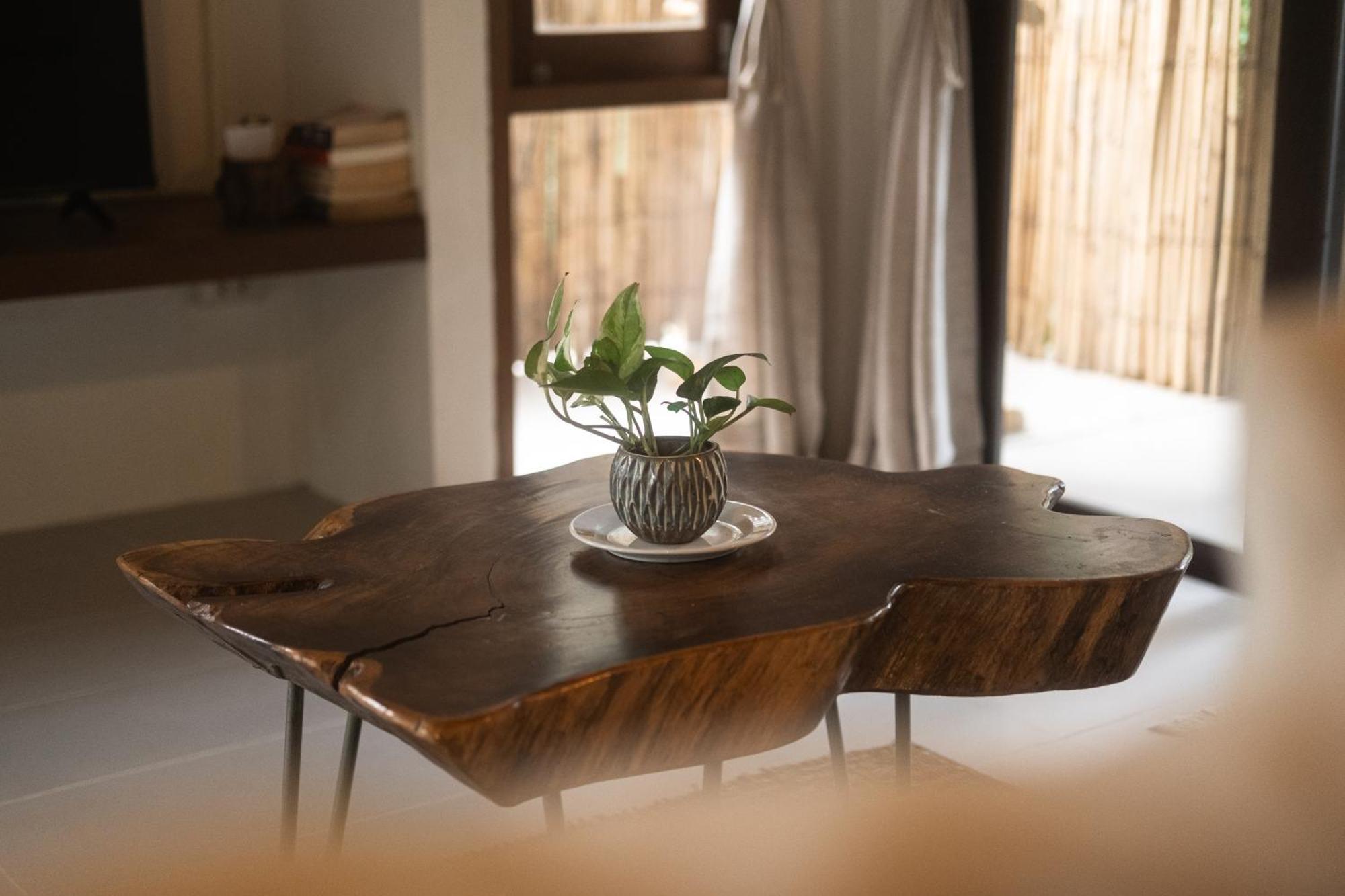 Big Tree Boutique Hotel Koh Tao Extérieur photo